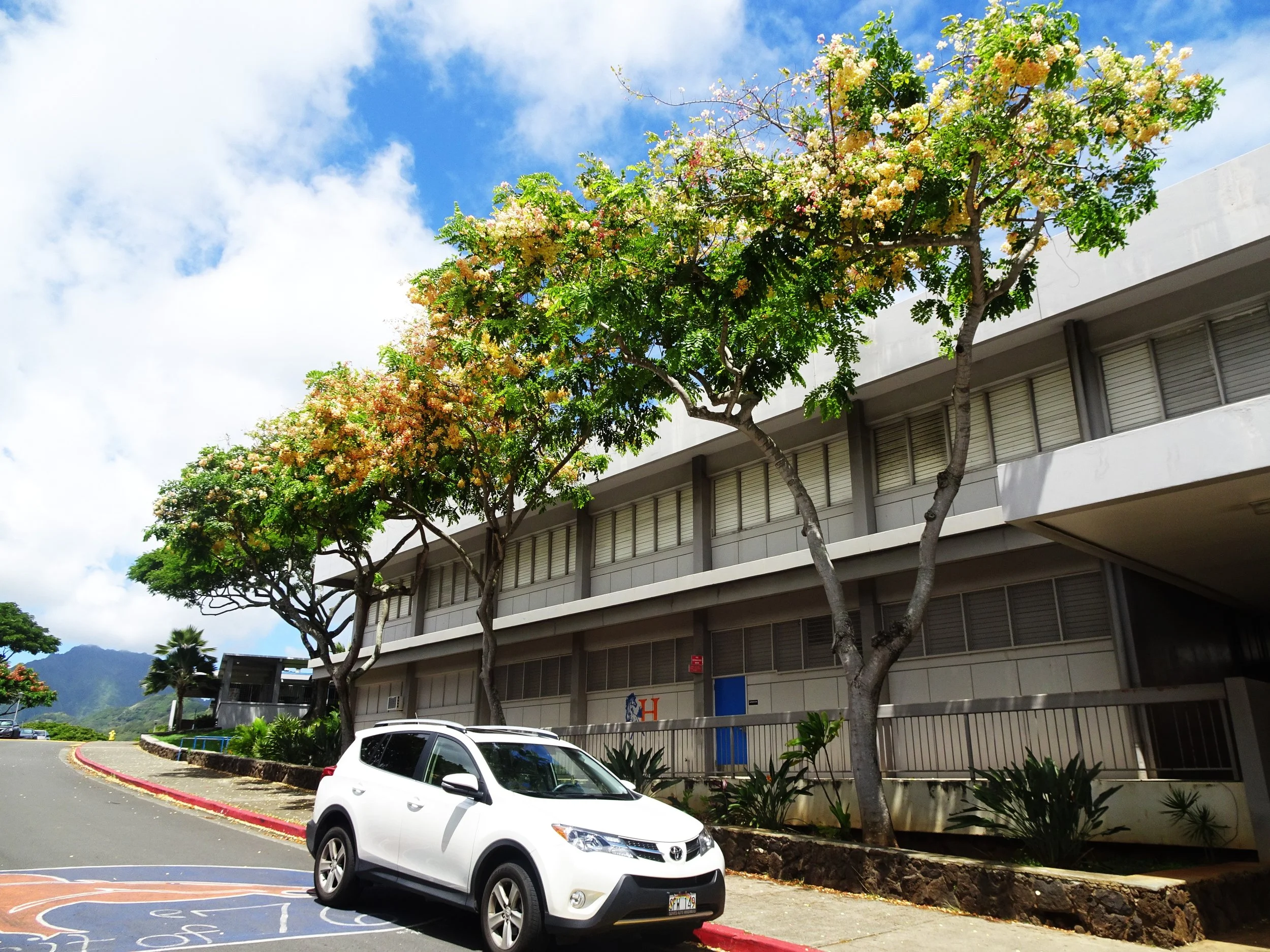 Grants — Kalāheo High School Foundation & Alumni Association