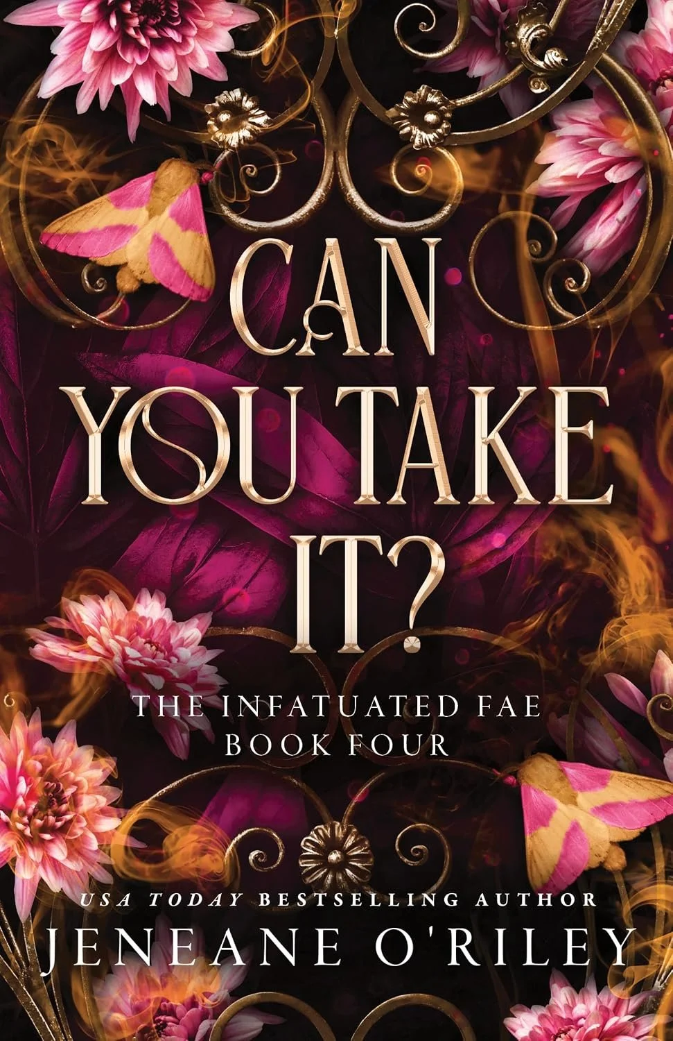 The cover of a book titled 'Can You Take It?' by Jeneane O'Riley.