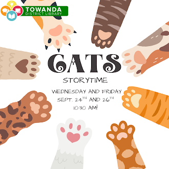 Cats Story/Activity Time!