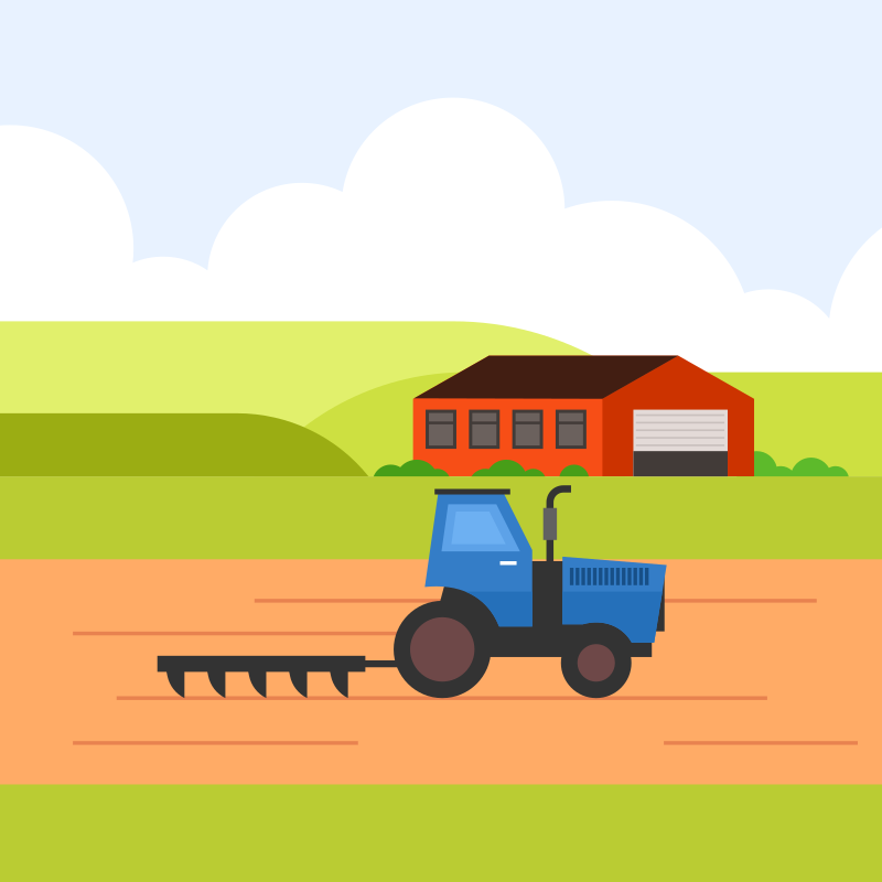 On The Farm! Story/Activity Time!