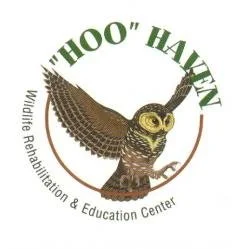 "Hoo" Haven Wildlife Rescue