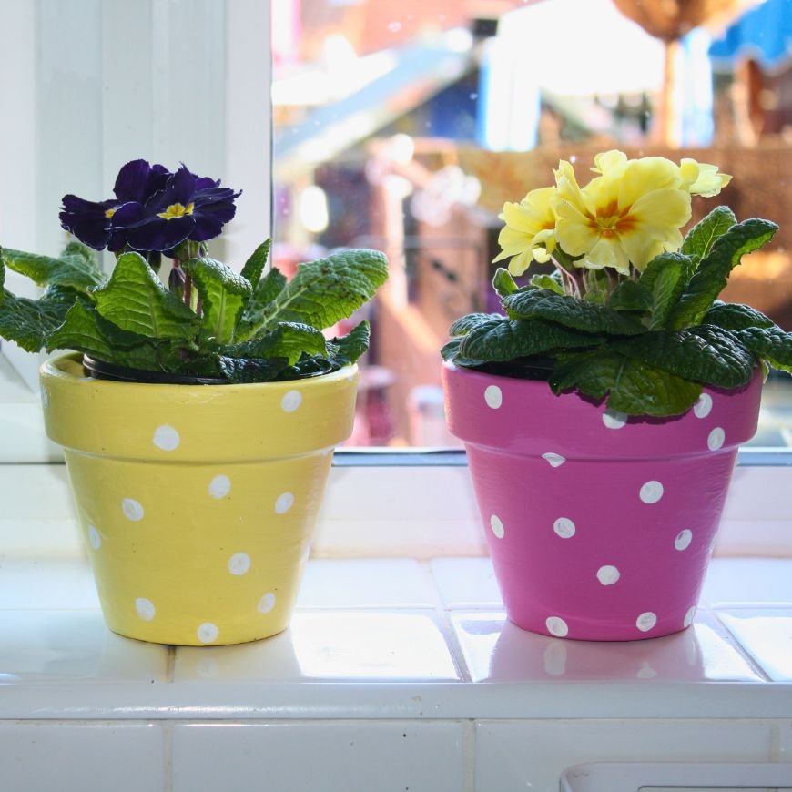 Paint and Plant