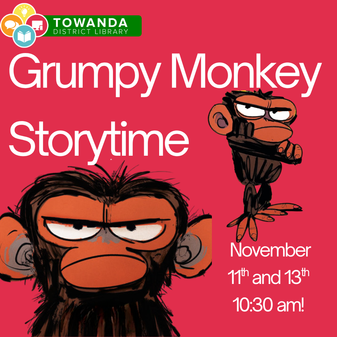 Grumpy Monkey Story/Activity Time!