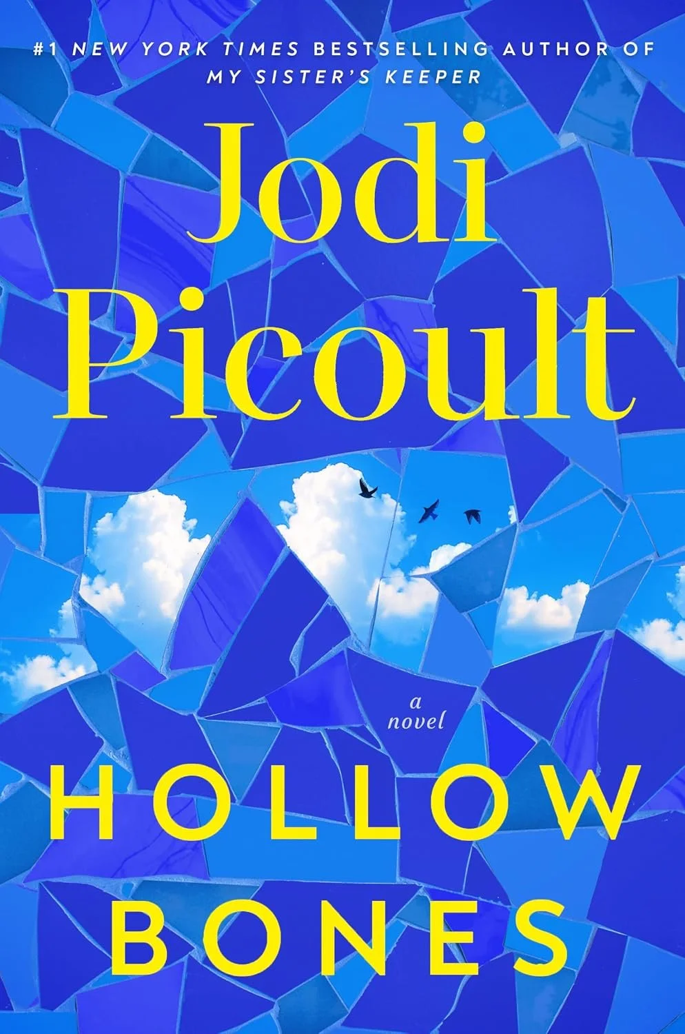 Book cover for 'Hollow Bones' by Jodi Picoult.