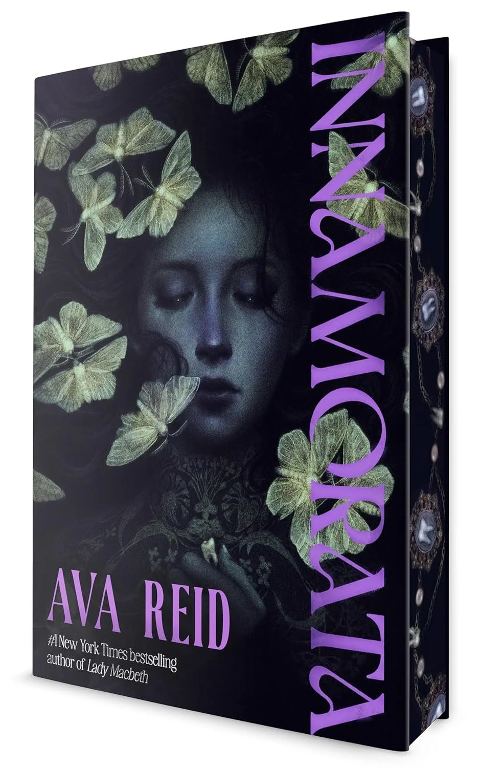 Book cover for 'Vicious' by Ava Reid.