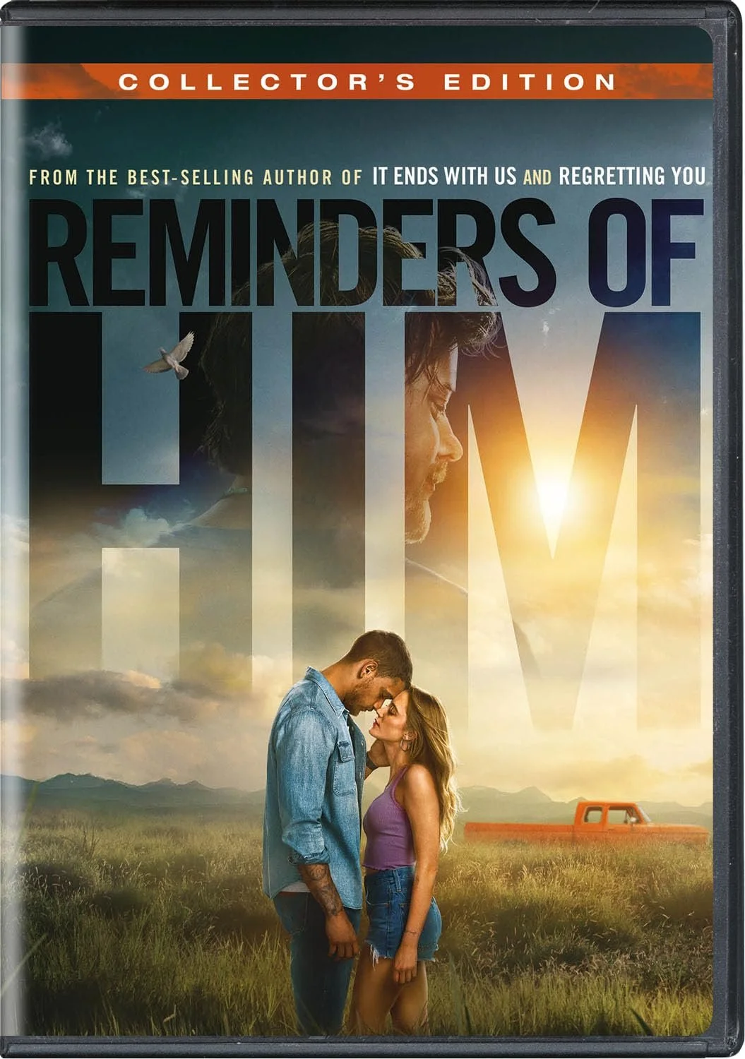 Cover of the DVD 'Reminders of Him: Collector's Edition'.