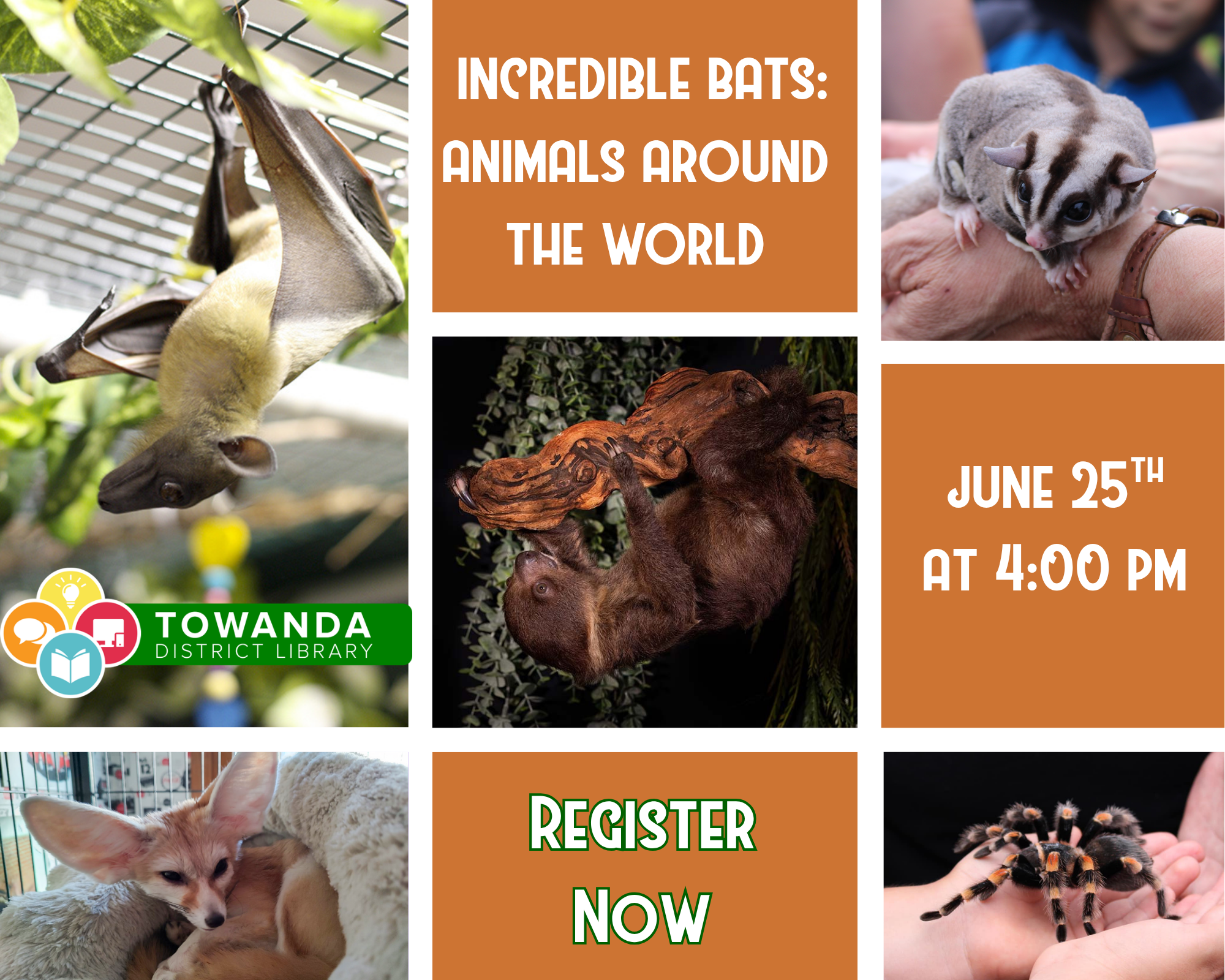 Incredible Bats program poster with wild animals. June 25th at 4pm.