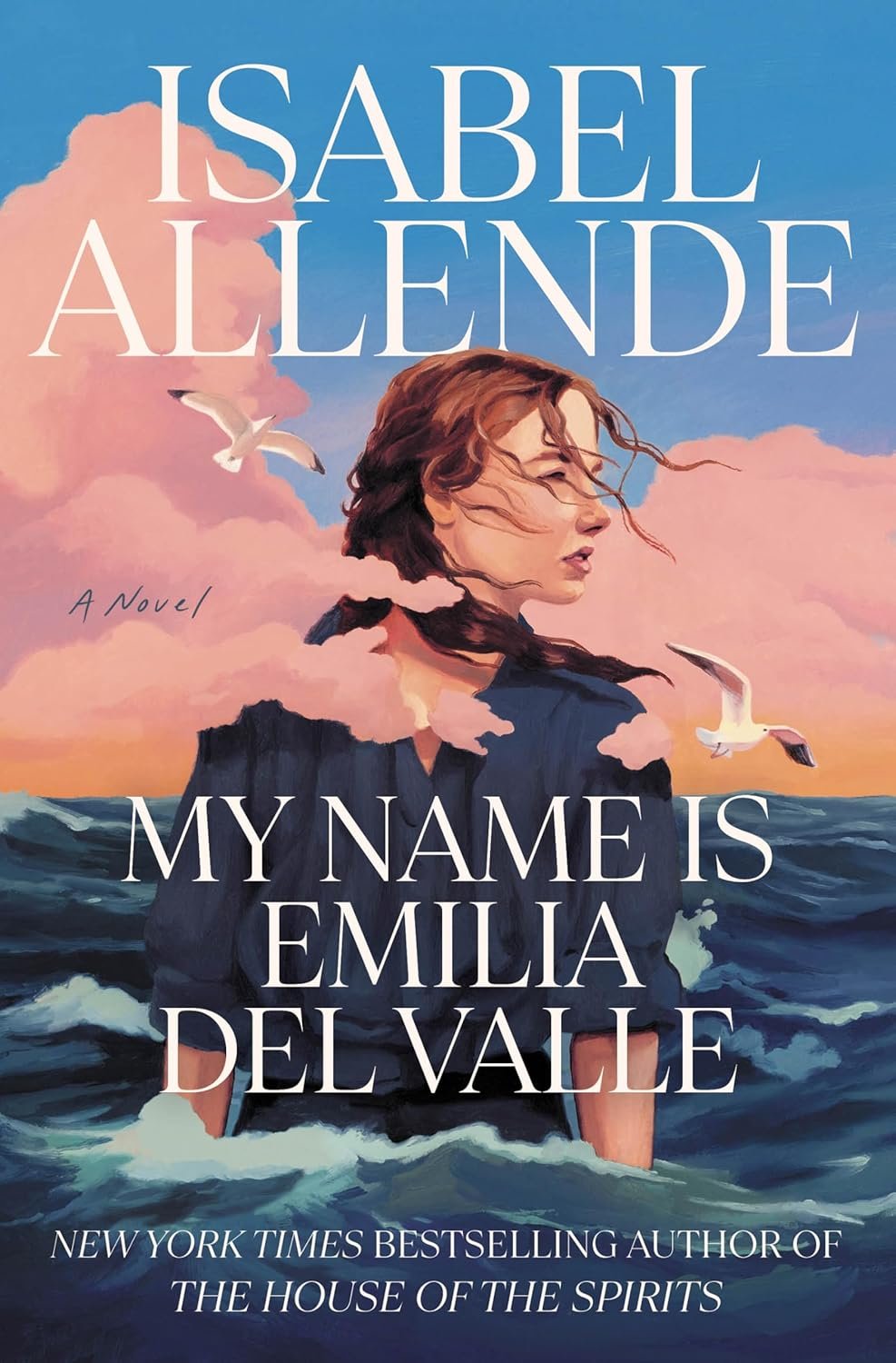 Book cover featuring "My Name is Emilia Del Valle" by Isabel Allende. Illustration of a woman with windblown hair in front of a sea and pink sky with seagulls.
