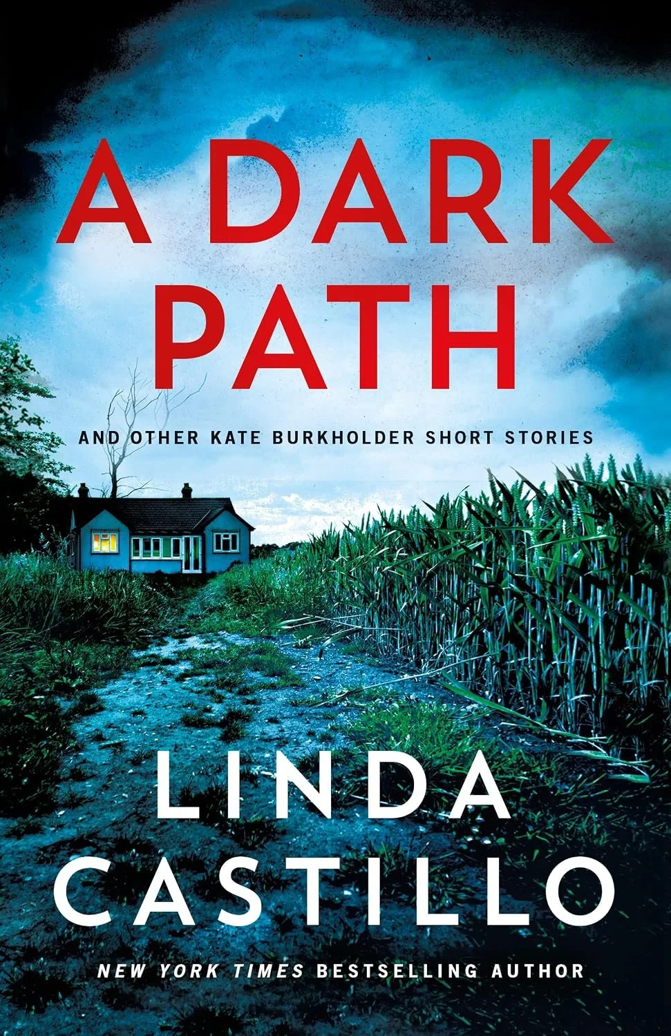The book cover titled 'A Dark Path and Other Kate Burkholder Short Stories' by Linda Castillo.