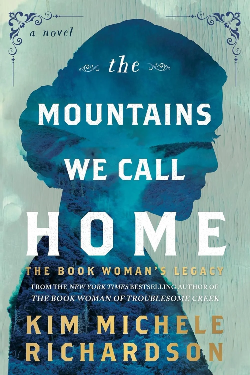 Book cover of 'The Mountains We Call Home' by Kim Michele Richardson.