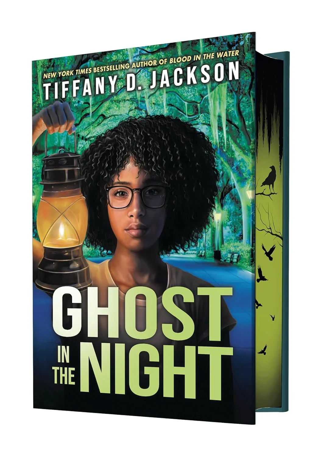 Book cover for 'Ghost in the Night' by Tiffany D. Jackson.