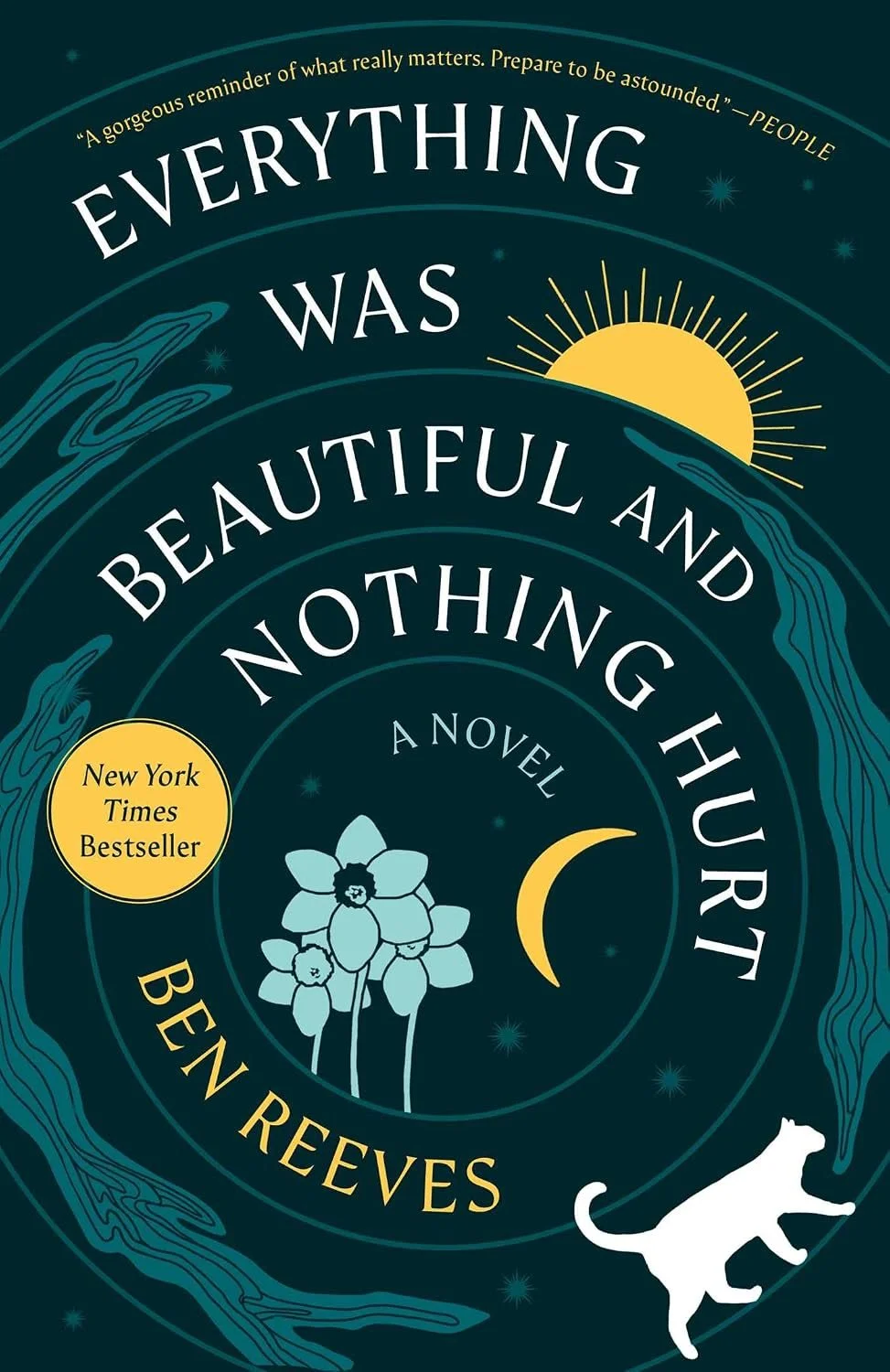 Book cover for "Everything Was Beautiful and Nothing Hurt" by Ben Reeves.