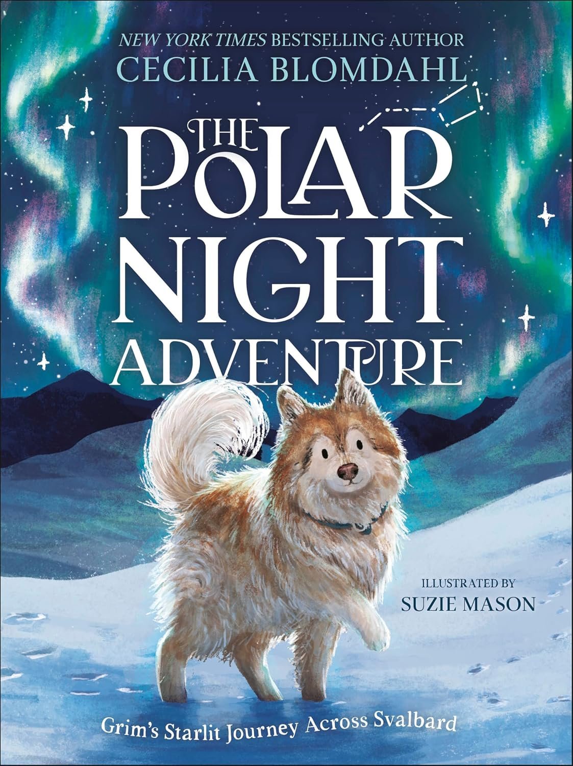 Book cover for 'The Polar Night Adventure' by Cecilia Blomdahl.