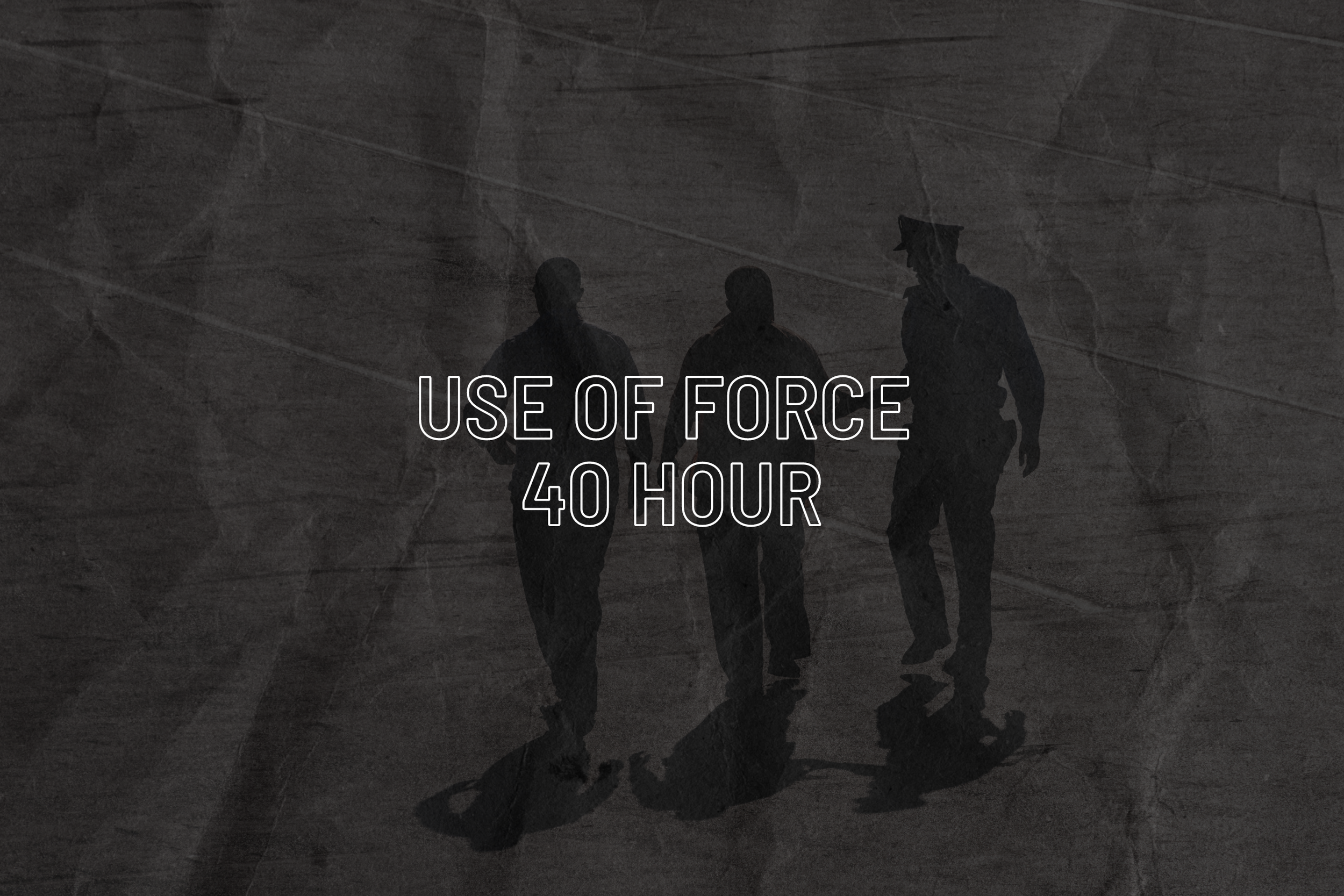 Use of Force Training 40 Hour (STC Certified)