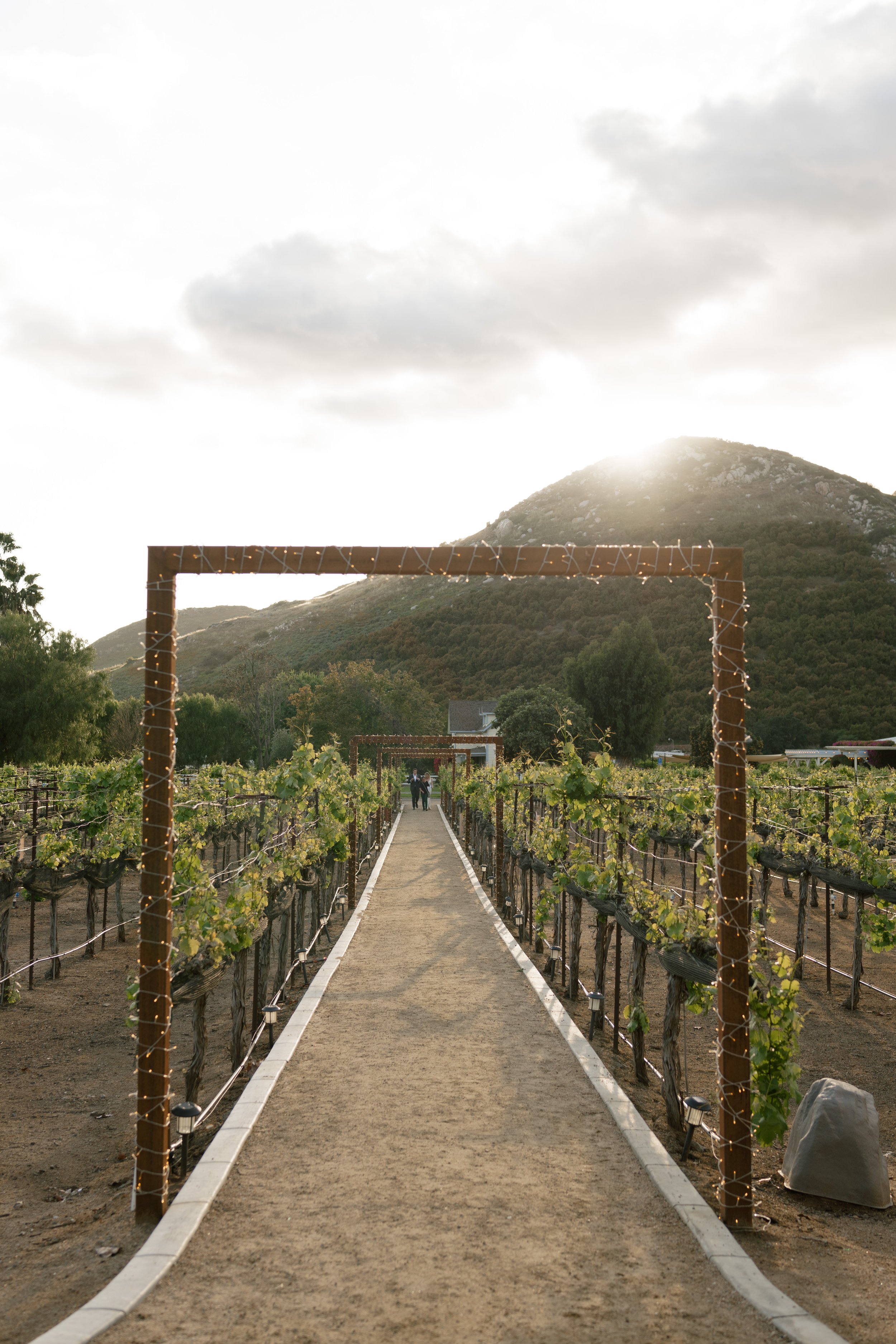 rancho-guejito-weddings-escondido-california-tyler-and-mitchel66.jpg