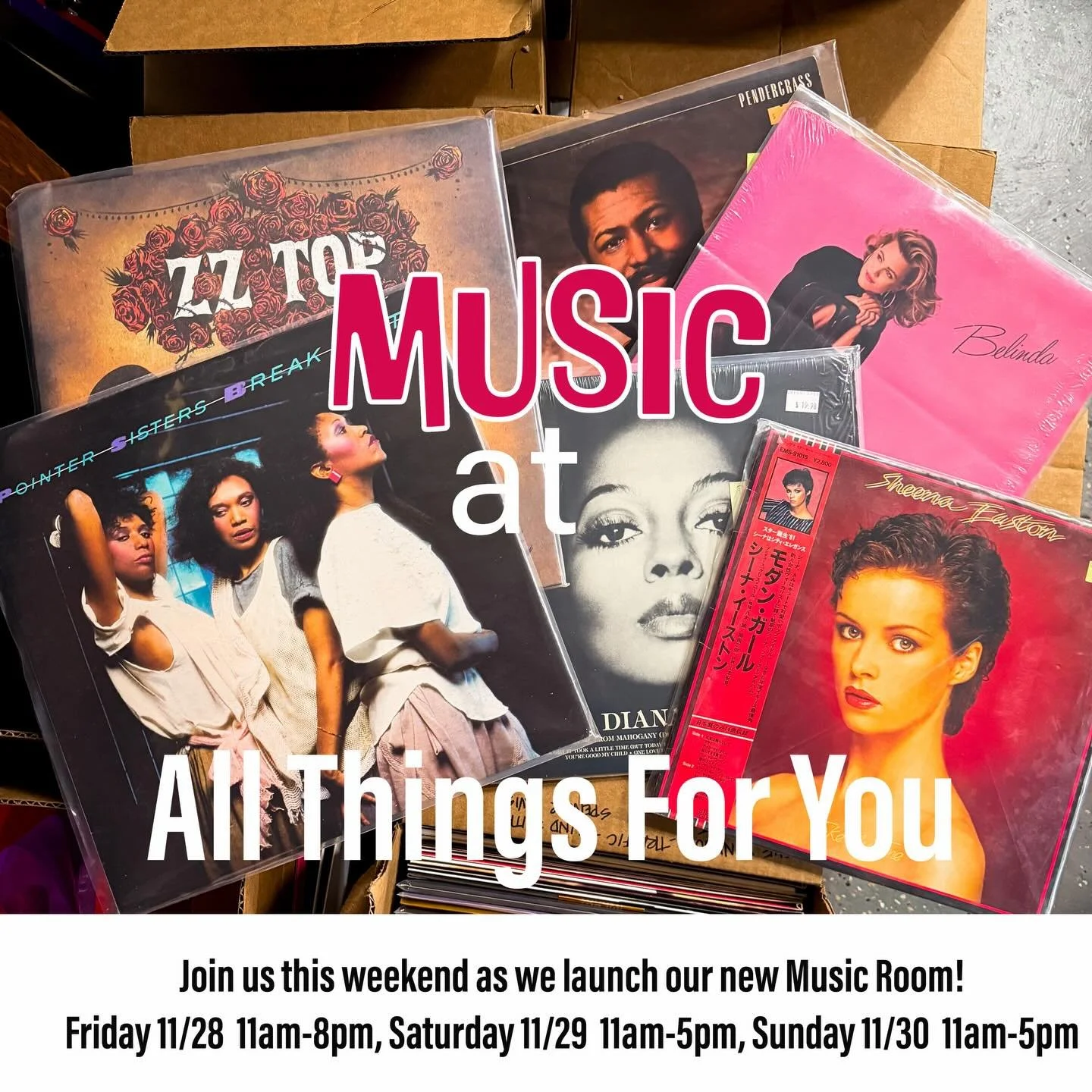 The wait is over! We are happy to announce that this Black Friday 11/28 we will be launching our new music collection room! We had the great fortune of purchasing a massive collection of LPs, CDs, VHS, concert DVDs, music accessories books, framed mu