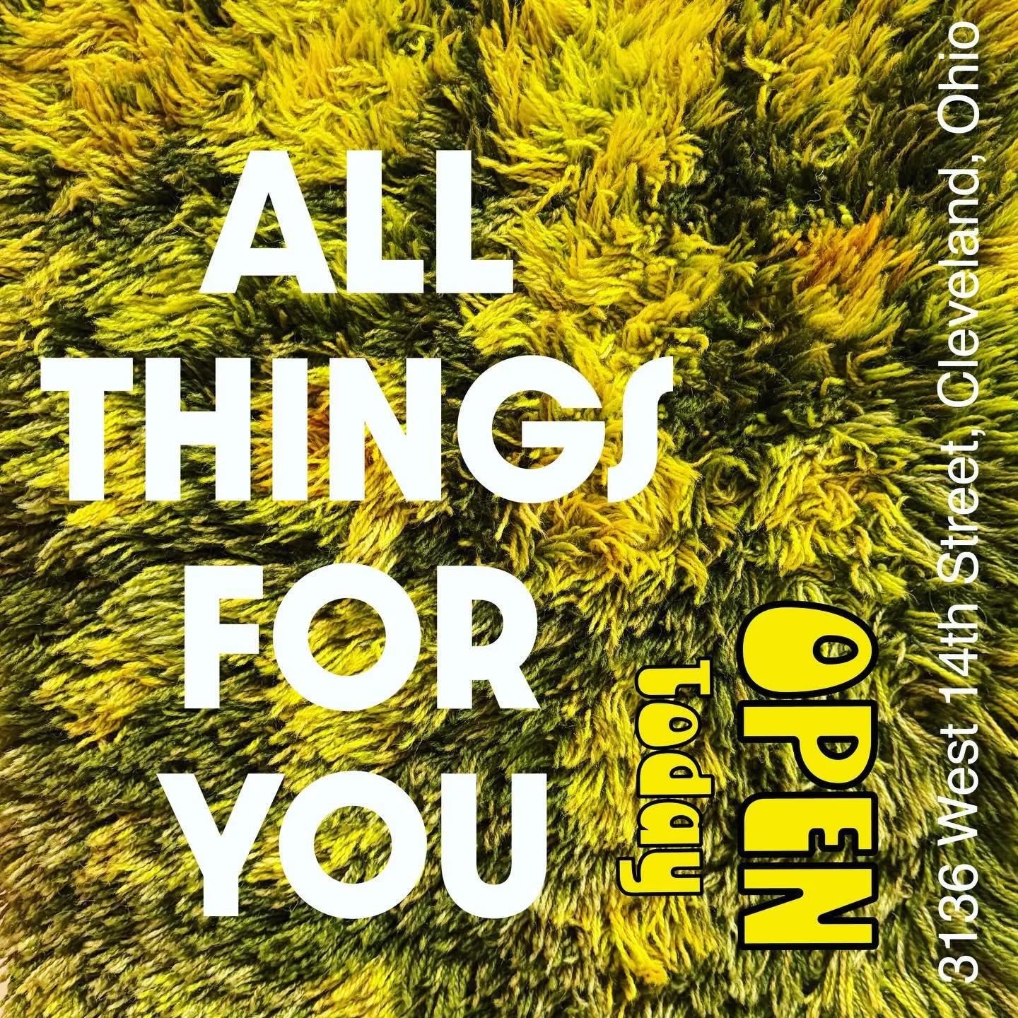 OPEN TODAY! Come in and enjoy vintage at its best in a beautiful environment. All Things For You, Cleveland&rsquo;s home for vintage is here in the heart of CLE and only minutes from downtown Cleveland in the Tremont neighborhood. (3136 West 14th Str