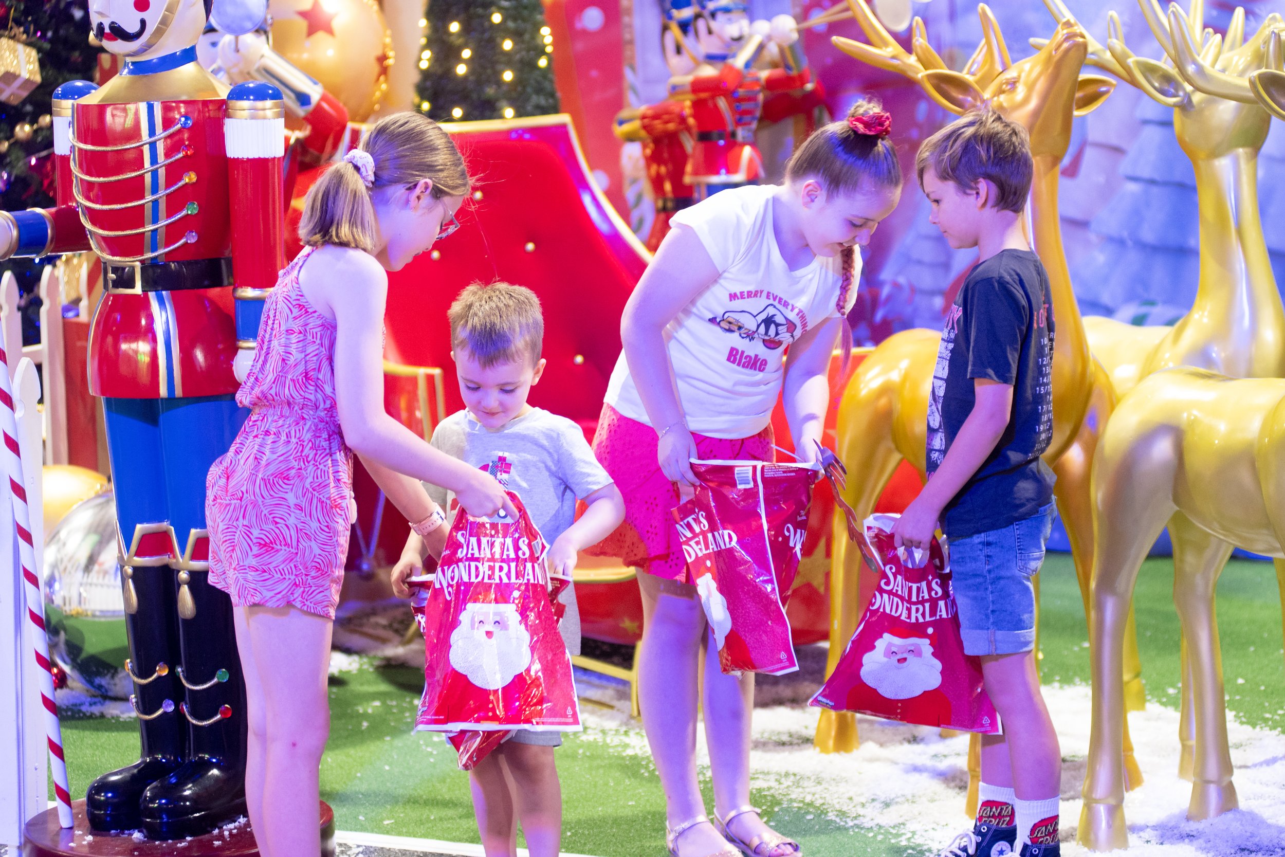 Santa's Wonderland