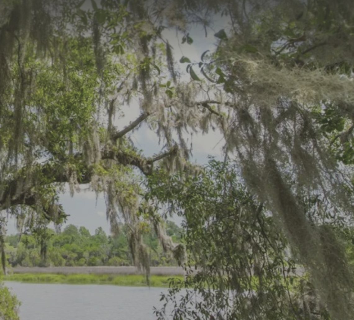 EXHIBITION: "Flowers and Fairies," Magnolia Plantation, Charleston, SC