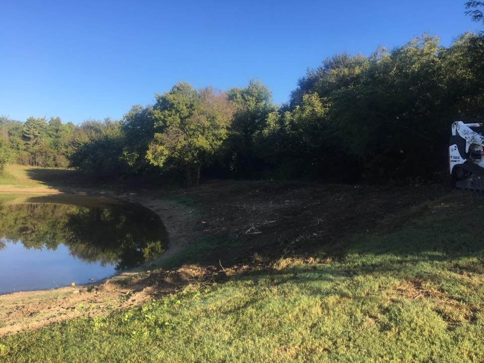 Pond1.jpeg