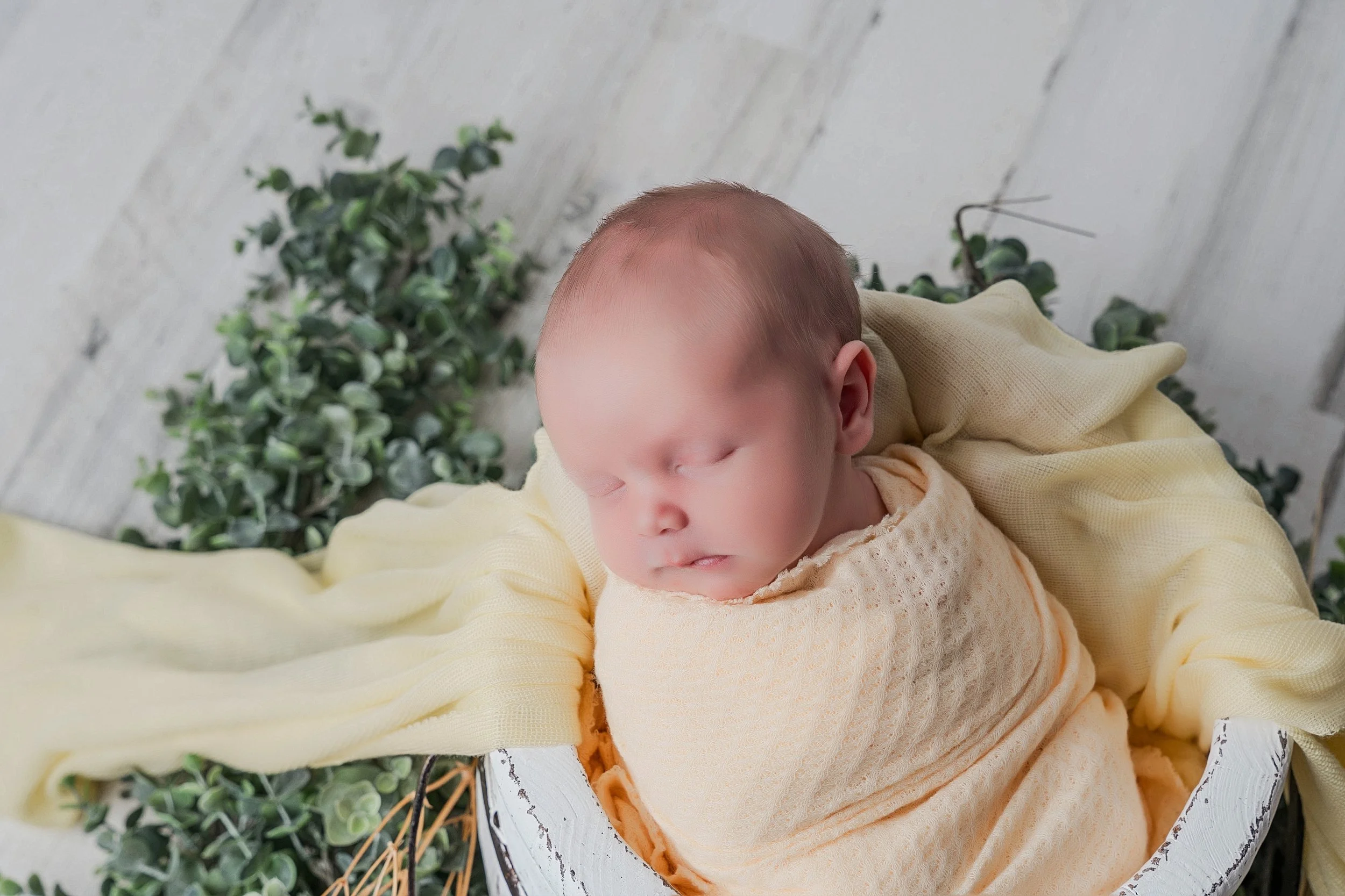 Clarkston-whitelake-waterford-holly-davisburg-newborn-photographer