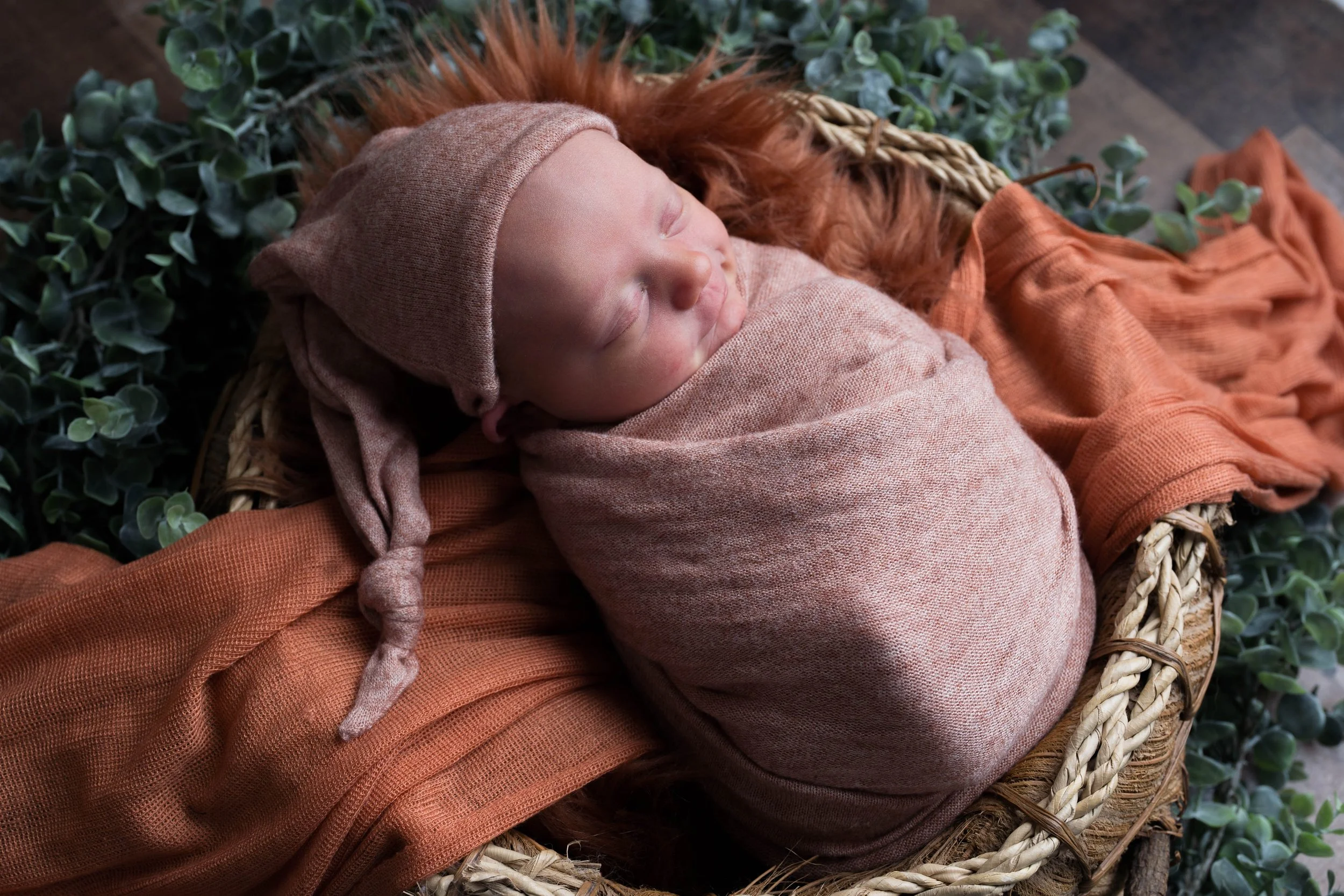 Clarkston-whitelake-waterford-holly-davisburg-newborn-photographer