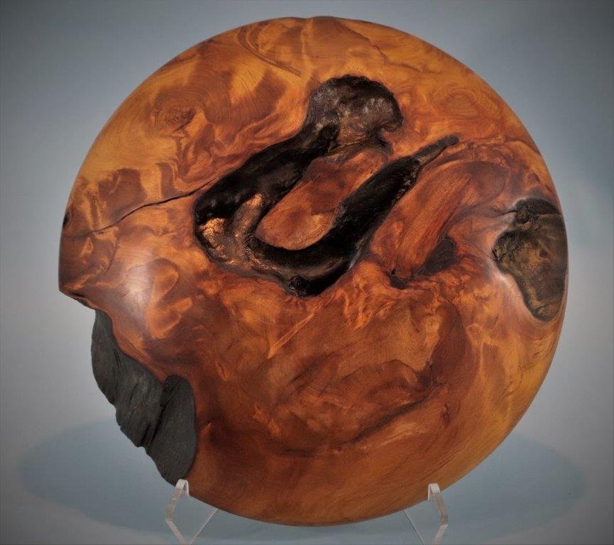 Ancient Kauri Wall Disc