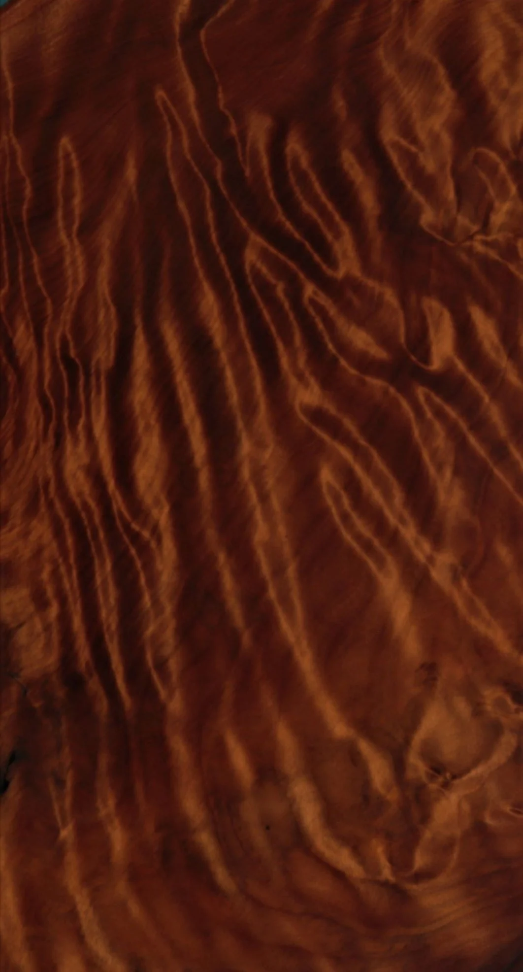 Ancient Kauri wood grain