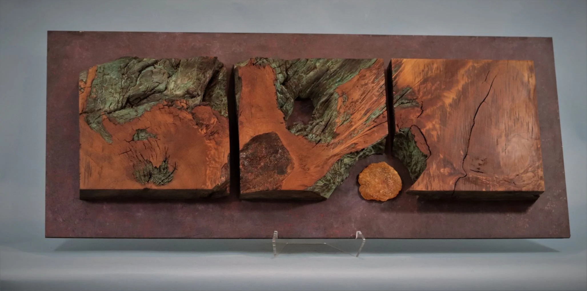 Wall panel made of Ancient Kauri