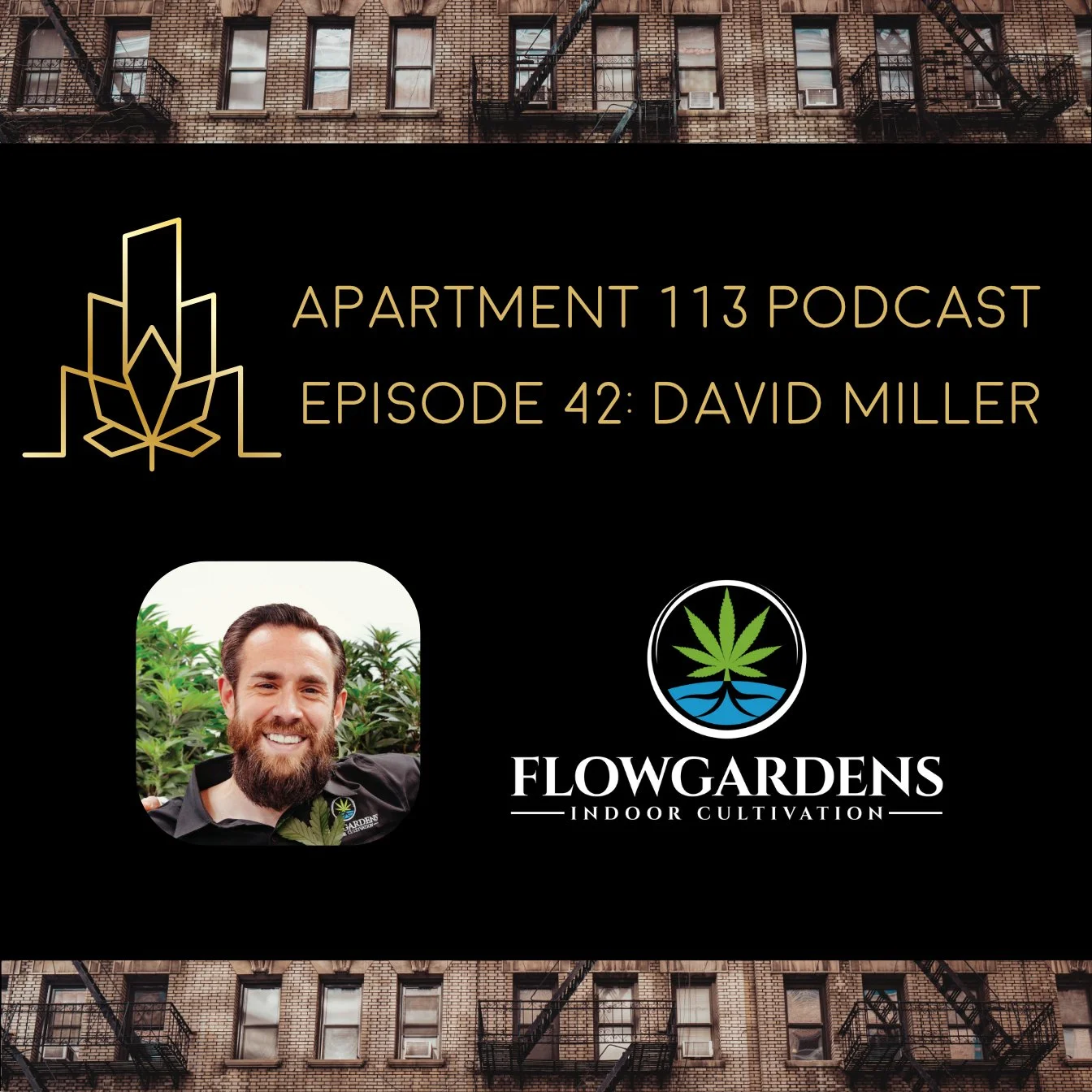 Episode 42 - David Miller - Flow Gardens