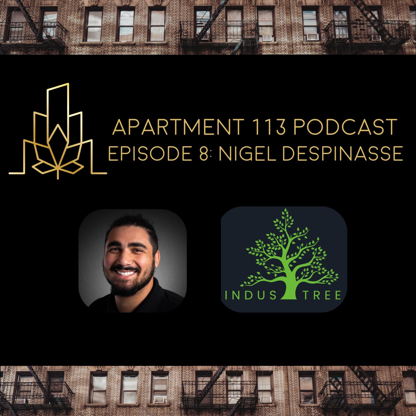 Episode 08 - Nigel Despinasse, Industree Marketing