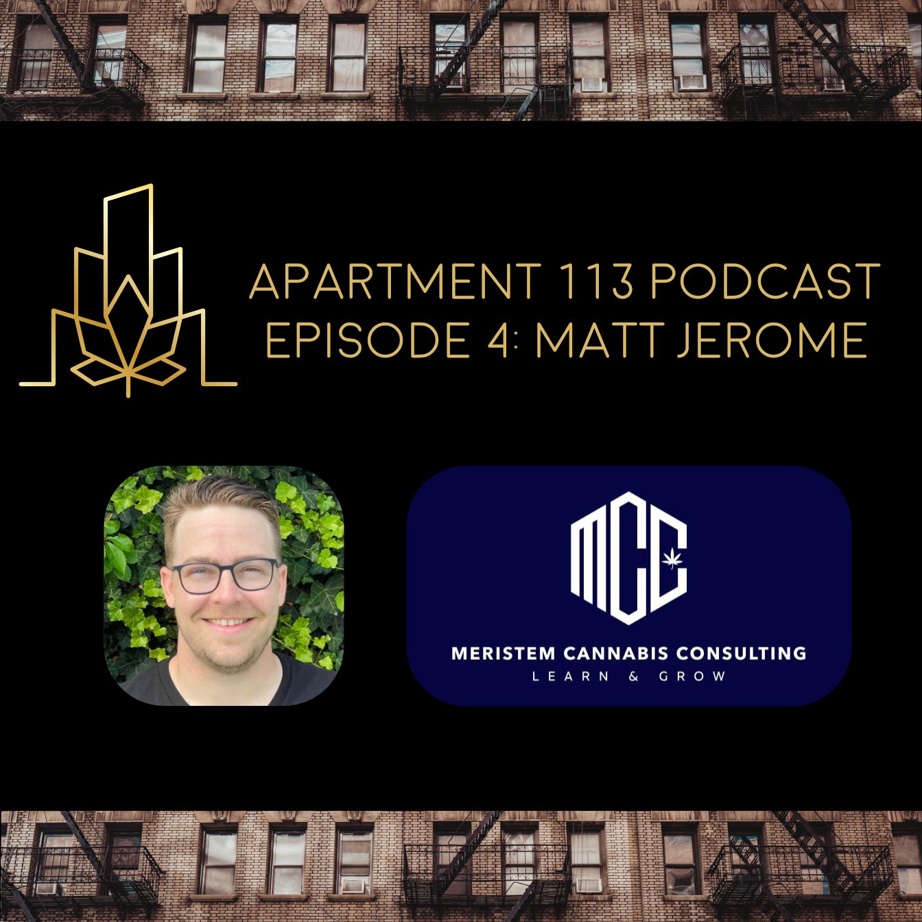 Episode 04 - Matt Jerome, Meristem Cannabis Consulting