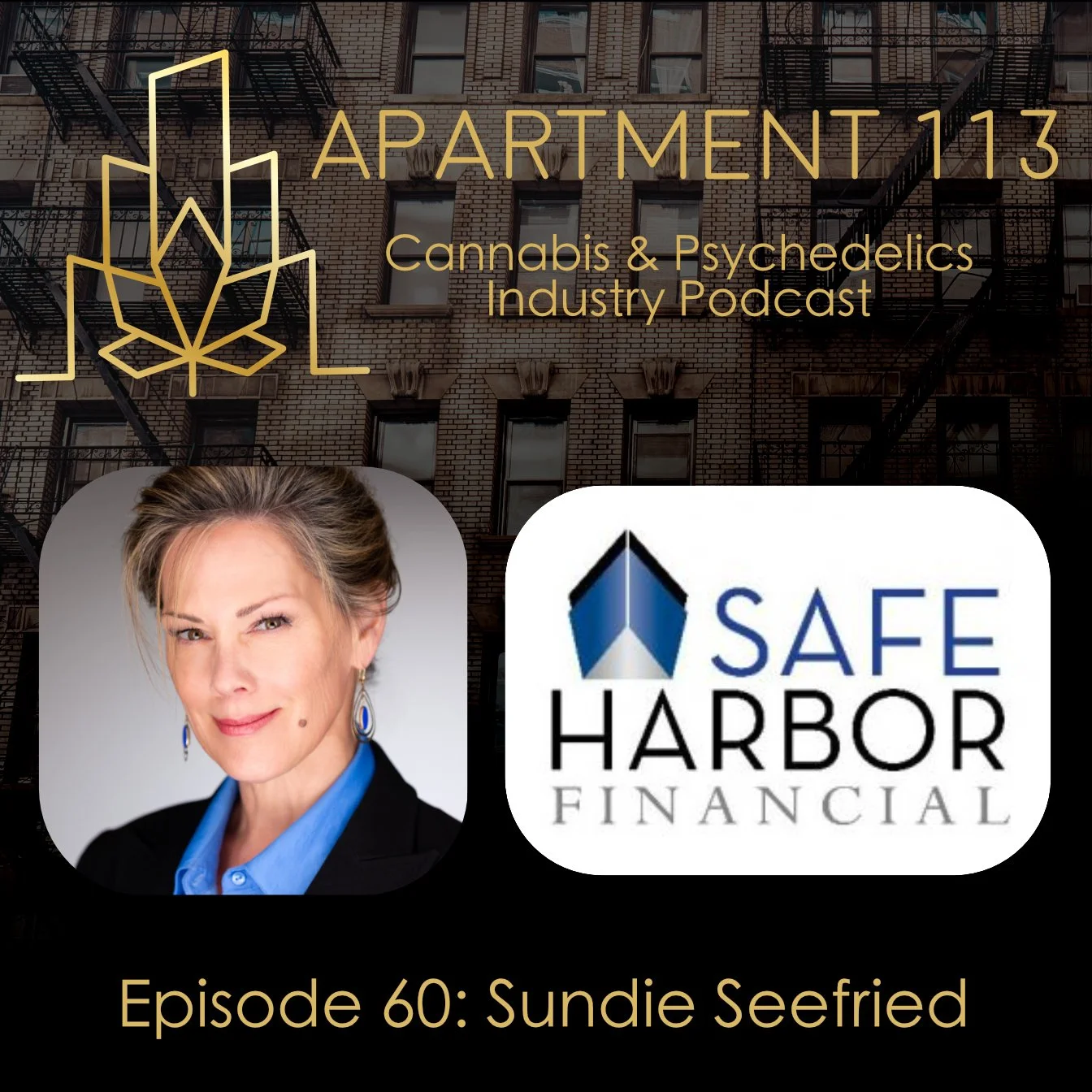 Episode 60 - Sundie Seefried, Safe Harbor Financial