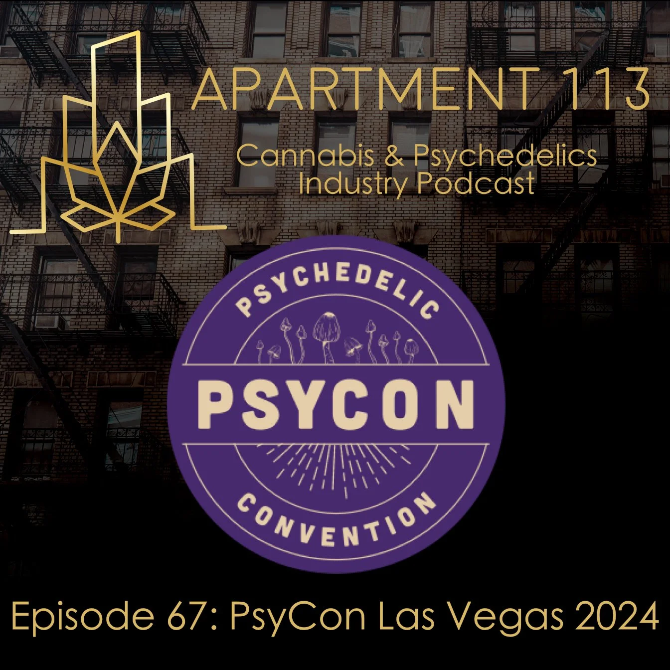 Episode 67 - PsyCon Las Vegas 2024