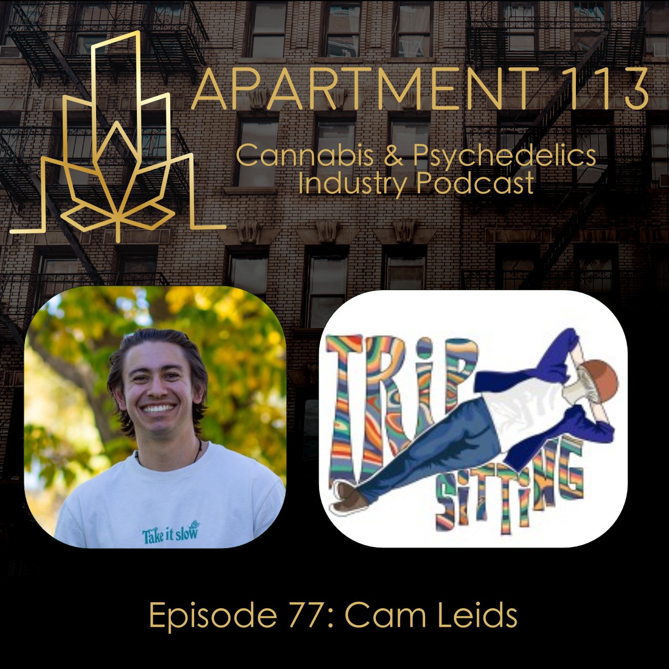 Episode 77 - Cam Leids, The TripSitting Podcast
