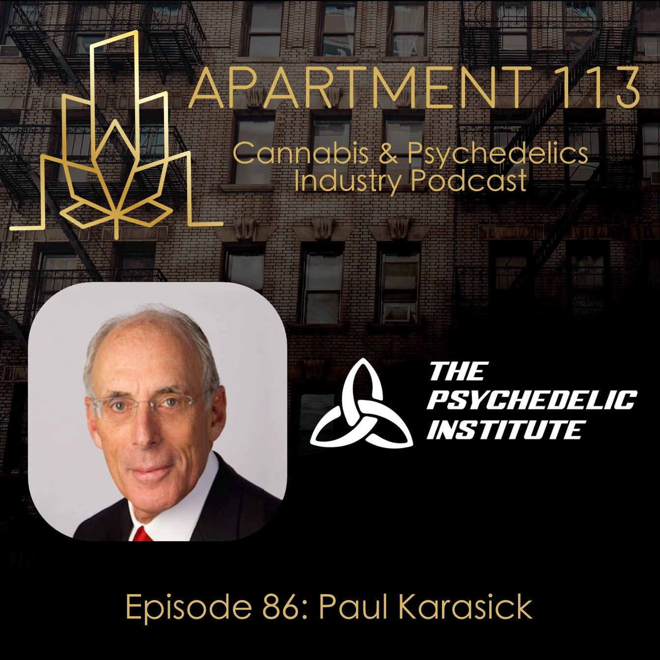 Episode 86 - Paul Karasik, The Psychedelic Institute