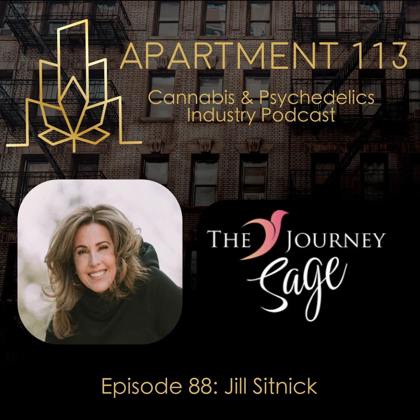 Episode 88- Jill Sitnick, The Journey Sage