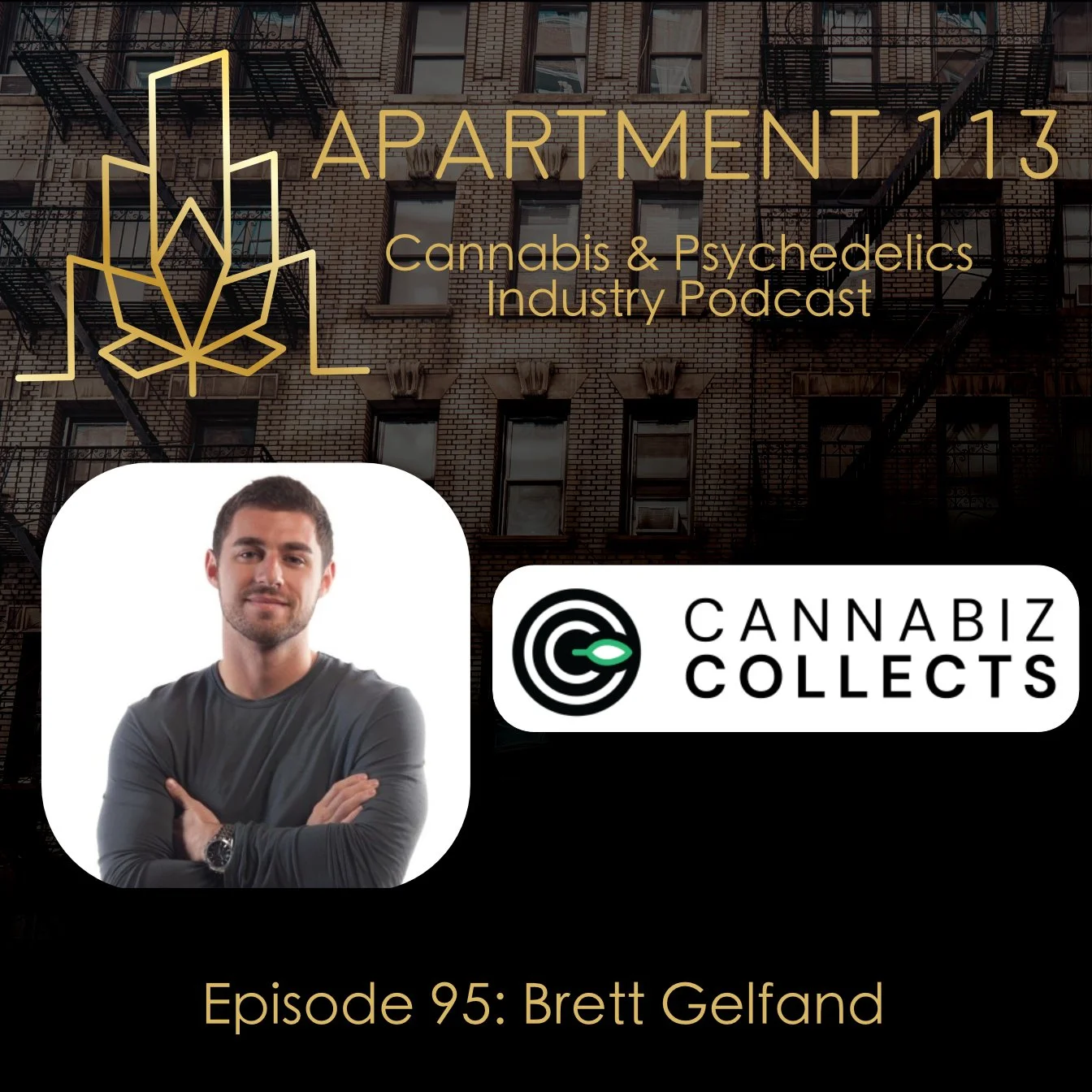 Episode 95 - Brett Gelfand, CannaBiz Collects