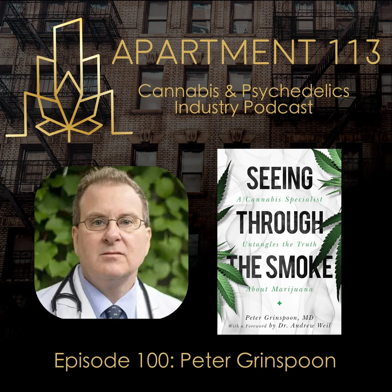 Episode 100 - Peter Grinspoon, Seeing Through the Smoke