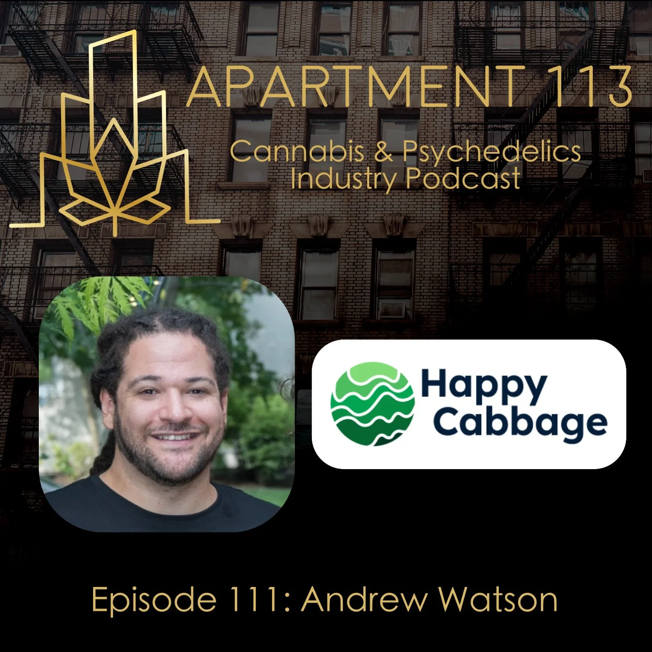 Episode 111 - Andrew Watson, Happy Cabbage Analytics