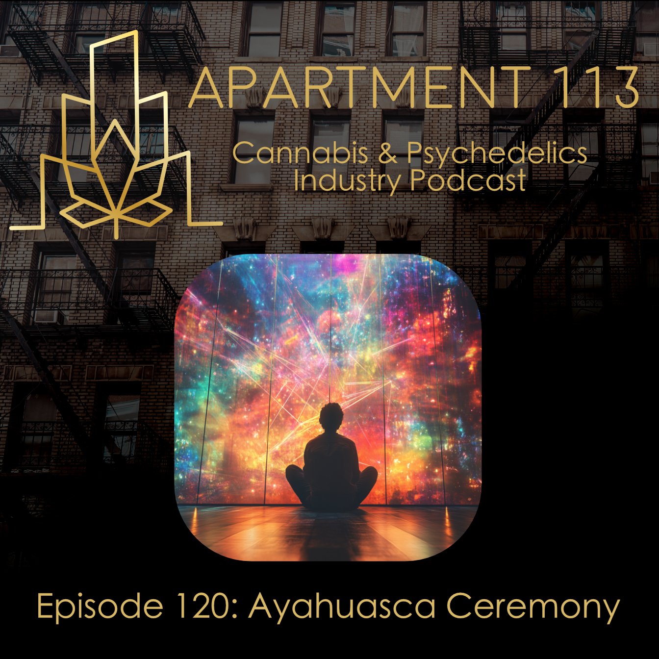 Episode 120 - Ayahuasca Ceremony