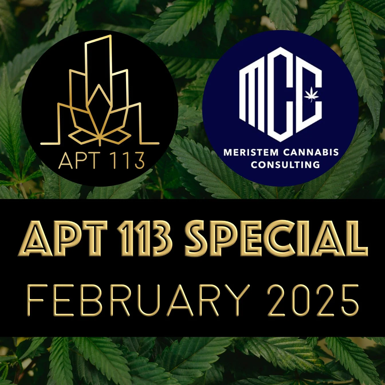 Episode 140 - Apt 113 Special - February 2025