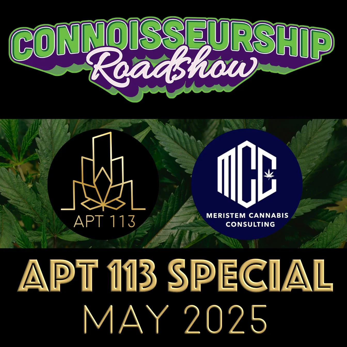 Episode 156 - Apt 113 Special - May 2025