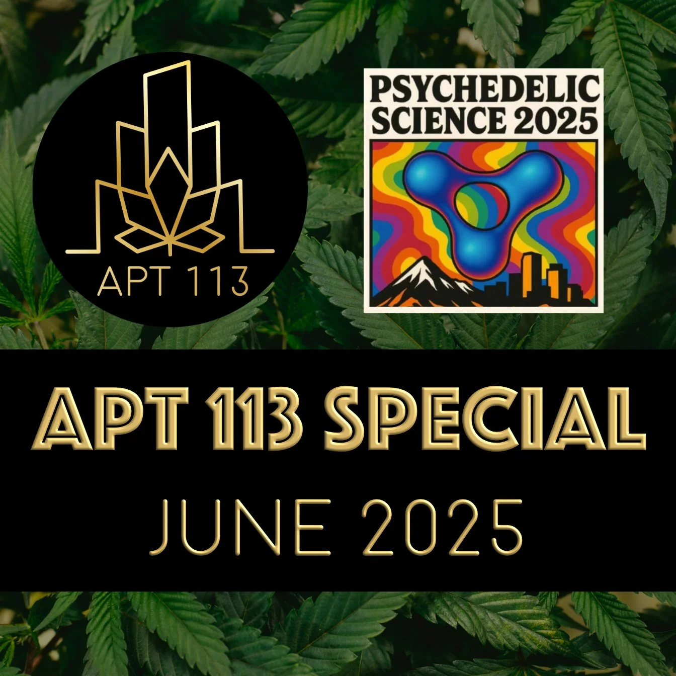 Episode 162 - Apt 113 Special - June 2025