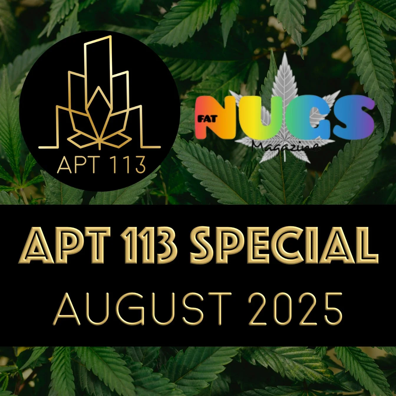 Apartment 113 Cannabis & Psychedelics Industry Podcast