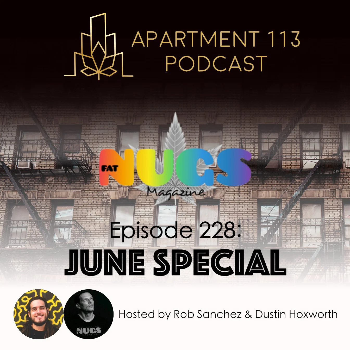 Episode 228 - June 2026 Special episode artwork