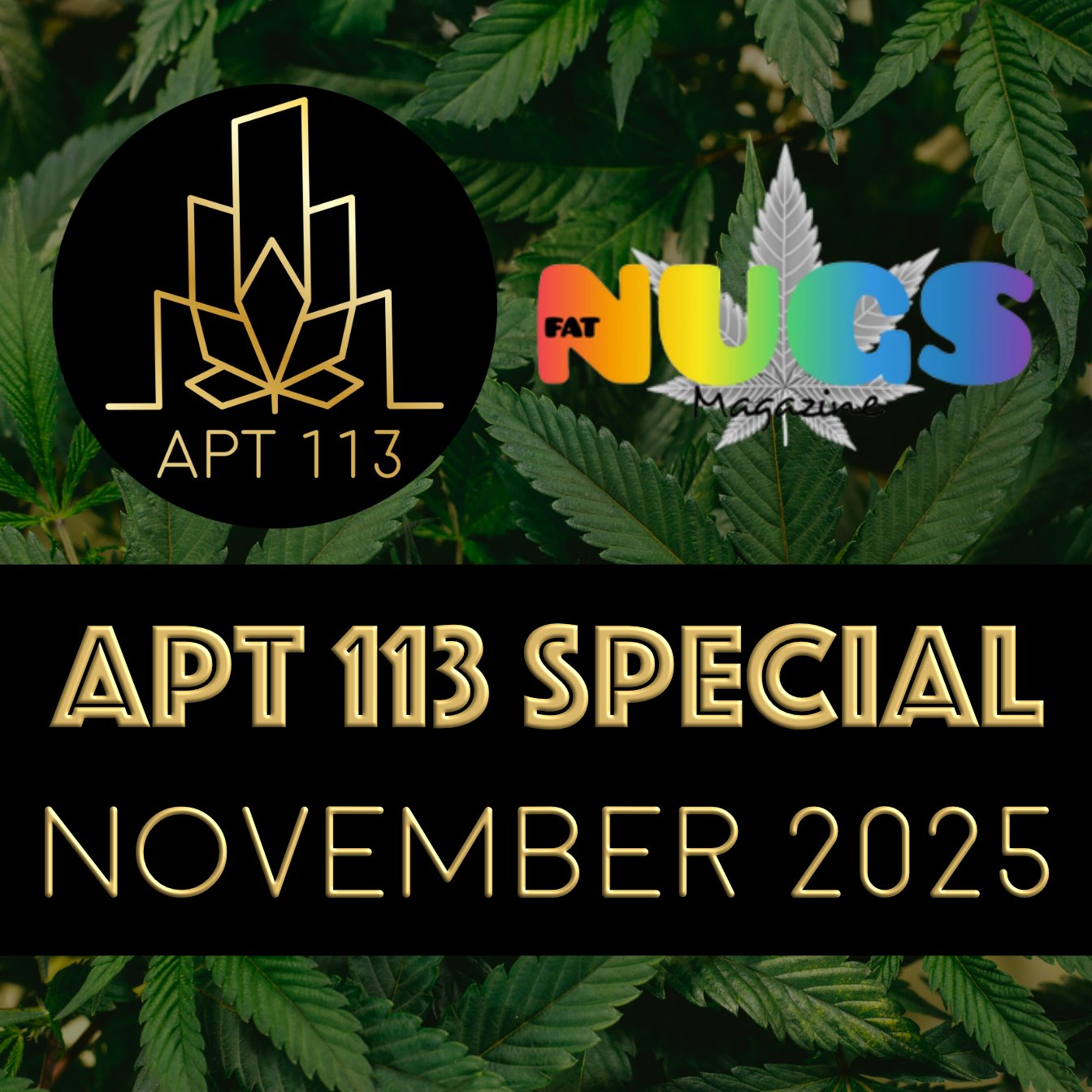 Episode 188 - Apt 113 Special - November 2025.jpg