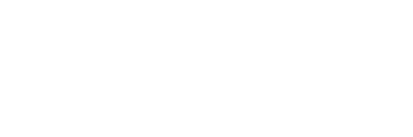 Bizdom