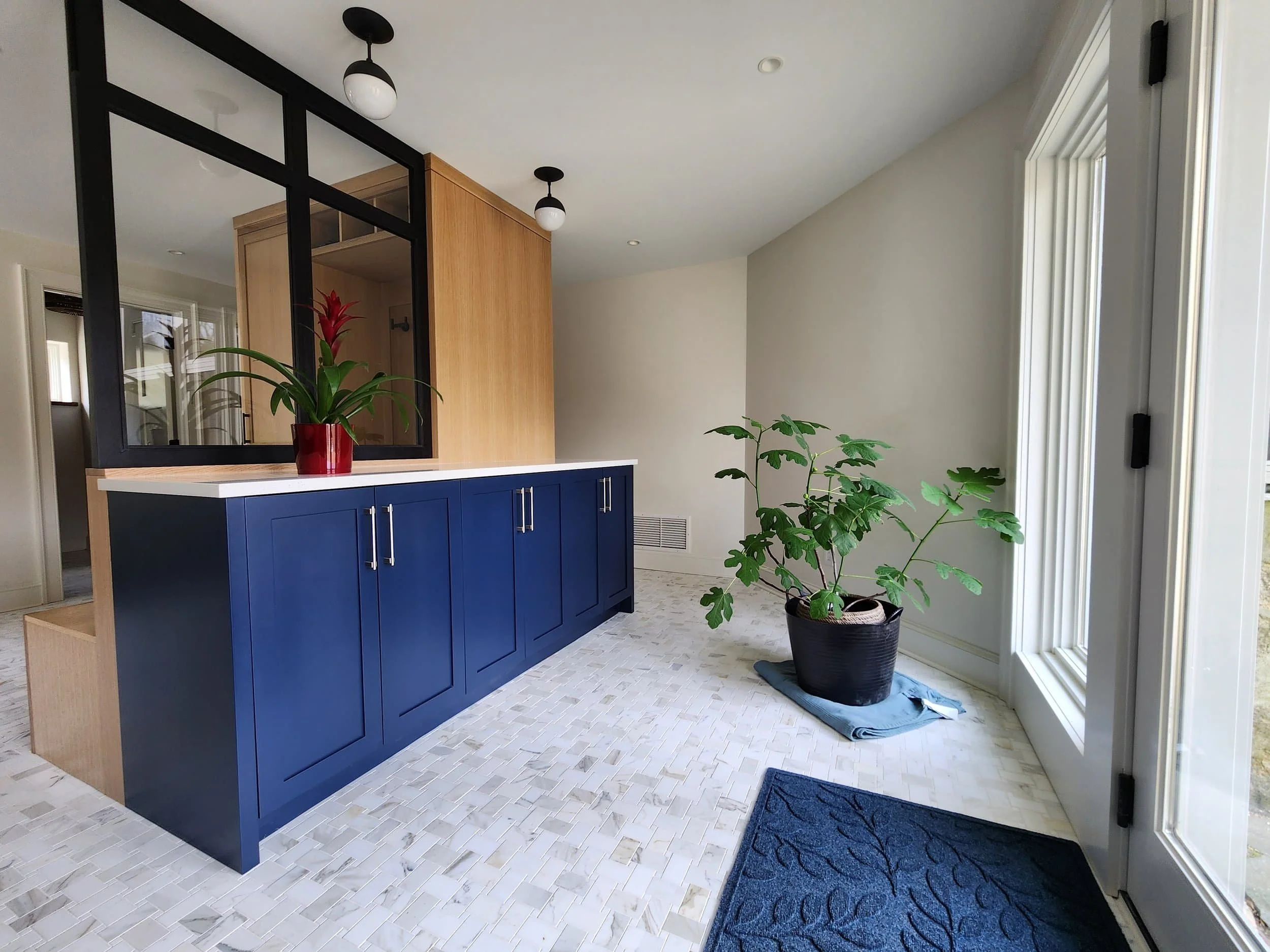 A bright room with a blue cabinet, a potted plant, and a white countertop with a red pot and green plant. Large window and a door with a blue rug in front.