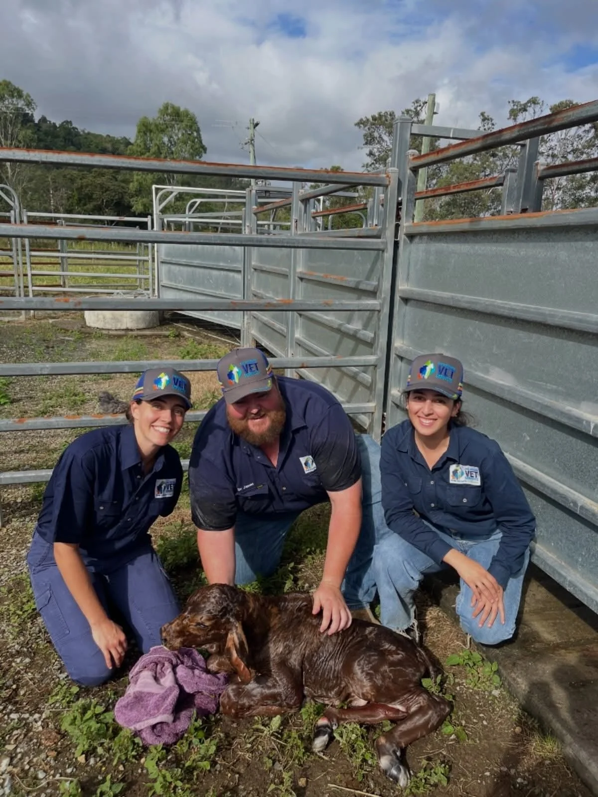 Your trusted vet in the Whitsundays region
